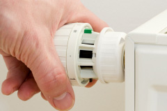 Blue Vein central heating repair costs