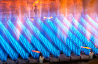 Blue Vein gas fired boilers
